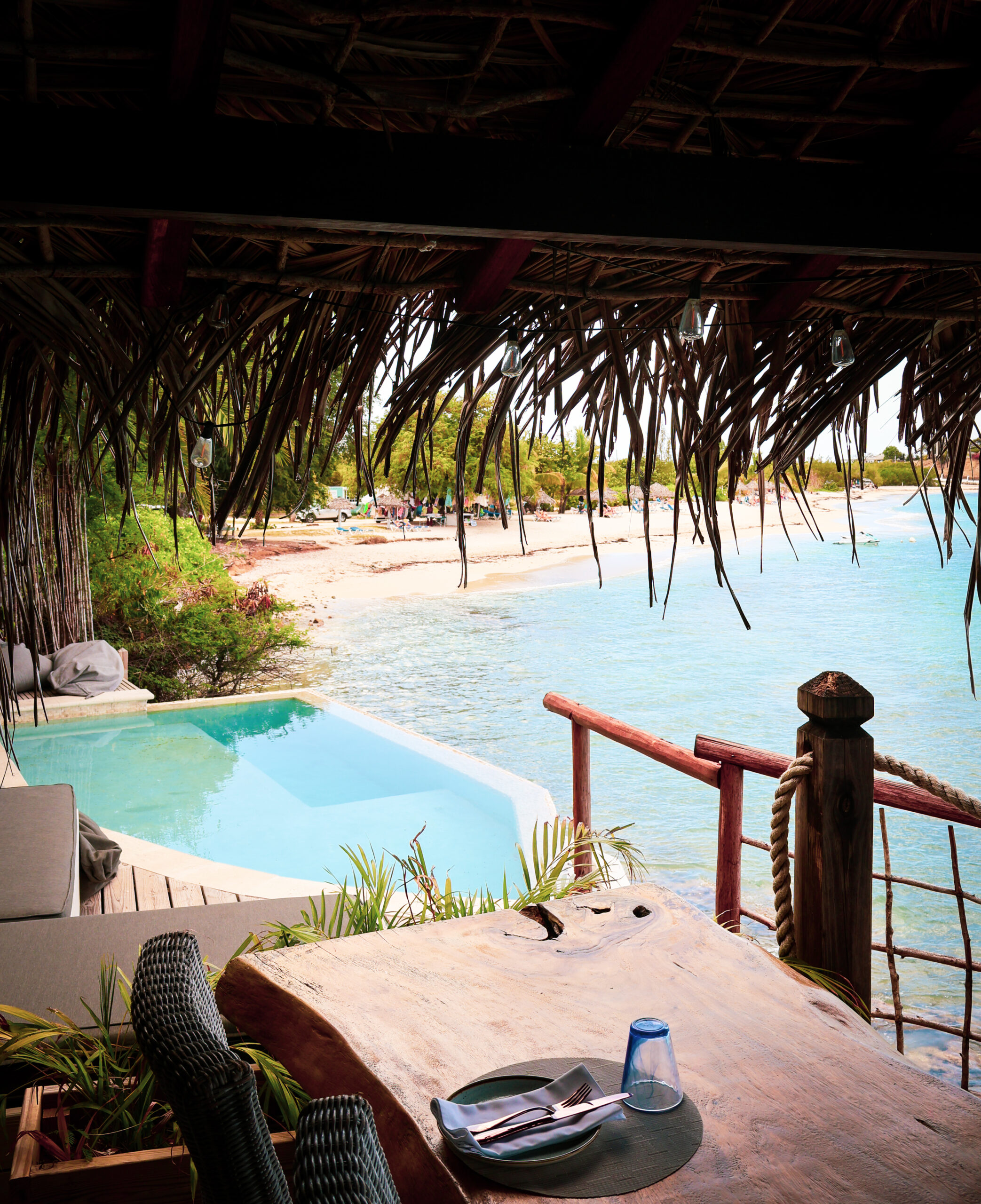 The Cove - Additional Guest